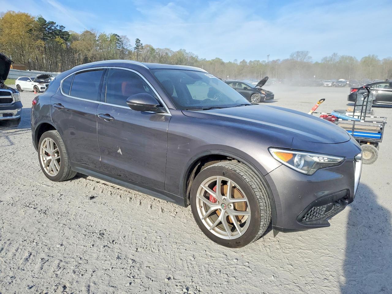 2019 Alfa Romeo Stelvio Ti - Фото 4