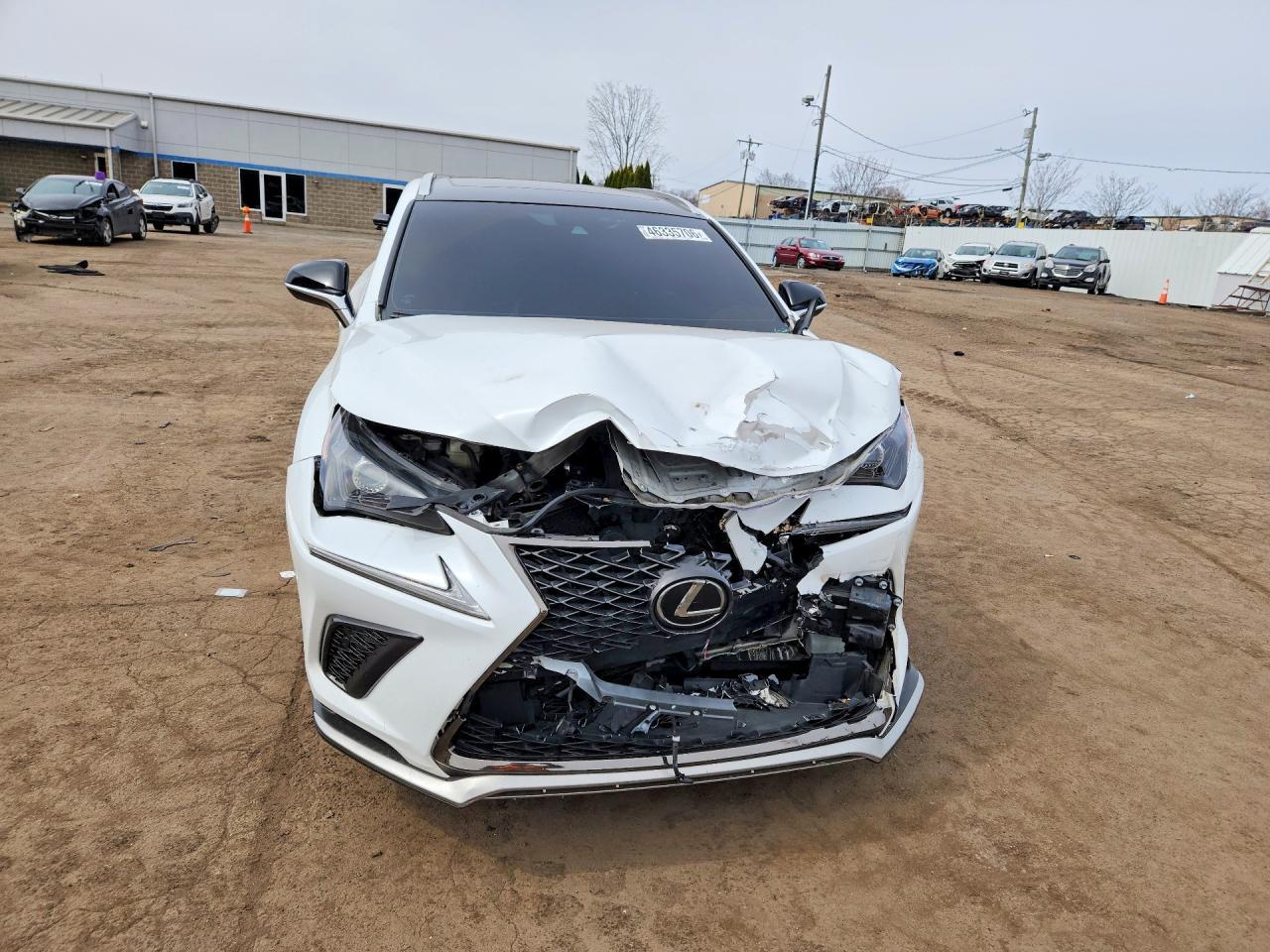 2020 Lexs Nx300 - Фото 5