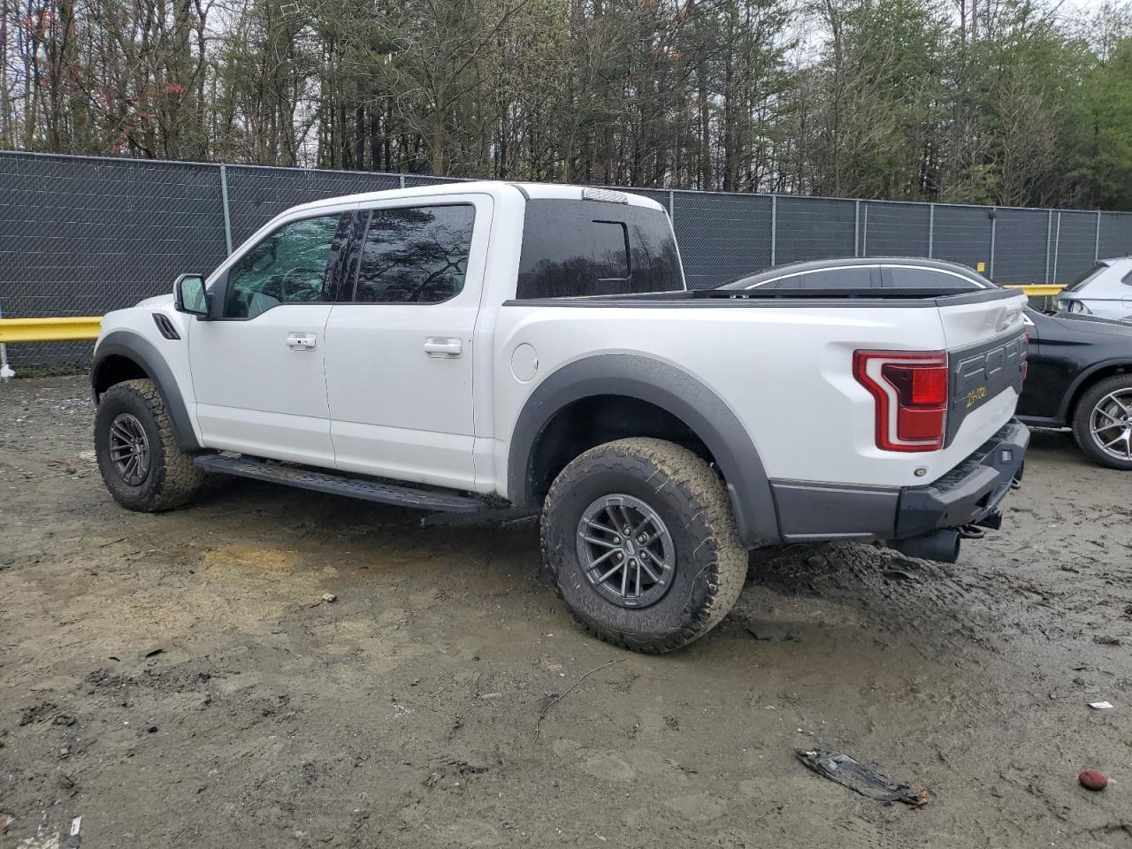 2020 Ford F150 Rapto - Фото 2
