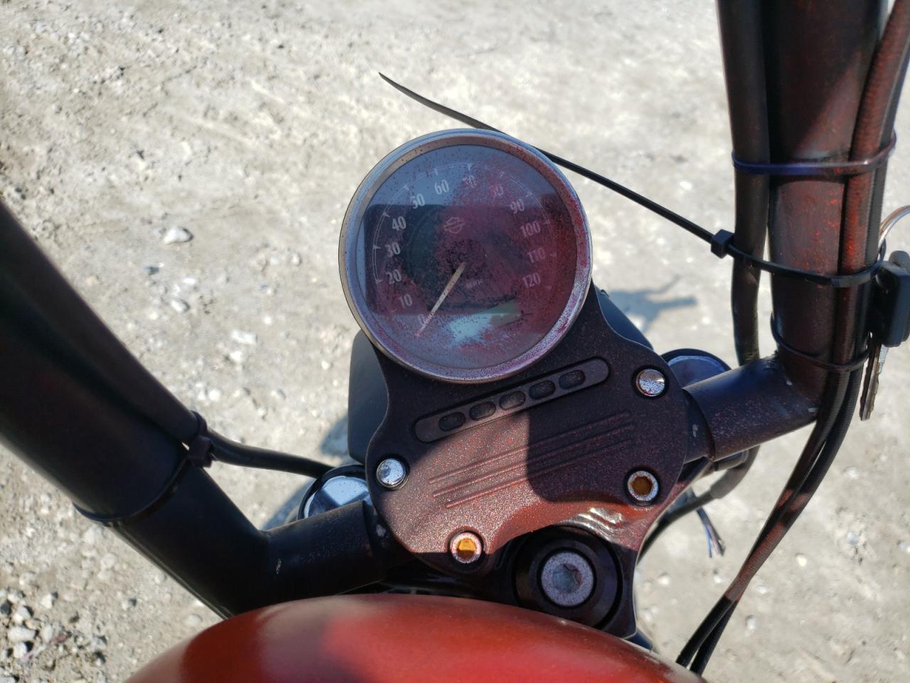 2015 Harley-Davidson Xl883 Iron 883 - Image 7