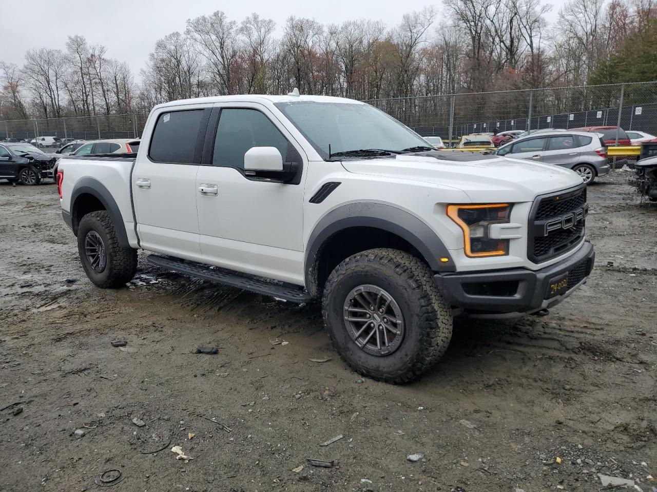 2020 Ford F150 Rapto - Фото 4