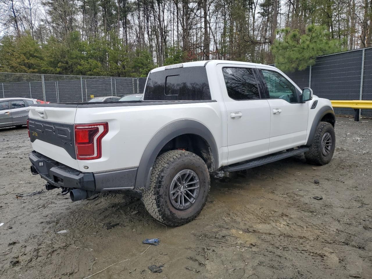 2020 Ford F150 Rapto - Фото 3