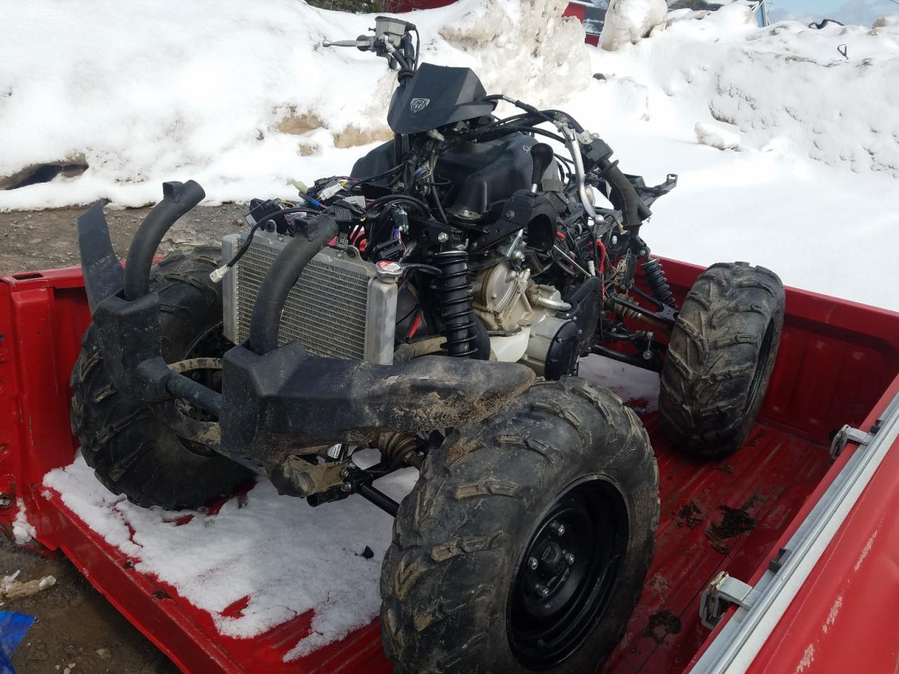 2024 Yamaha Yfm450 K - Фото 2