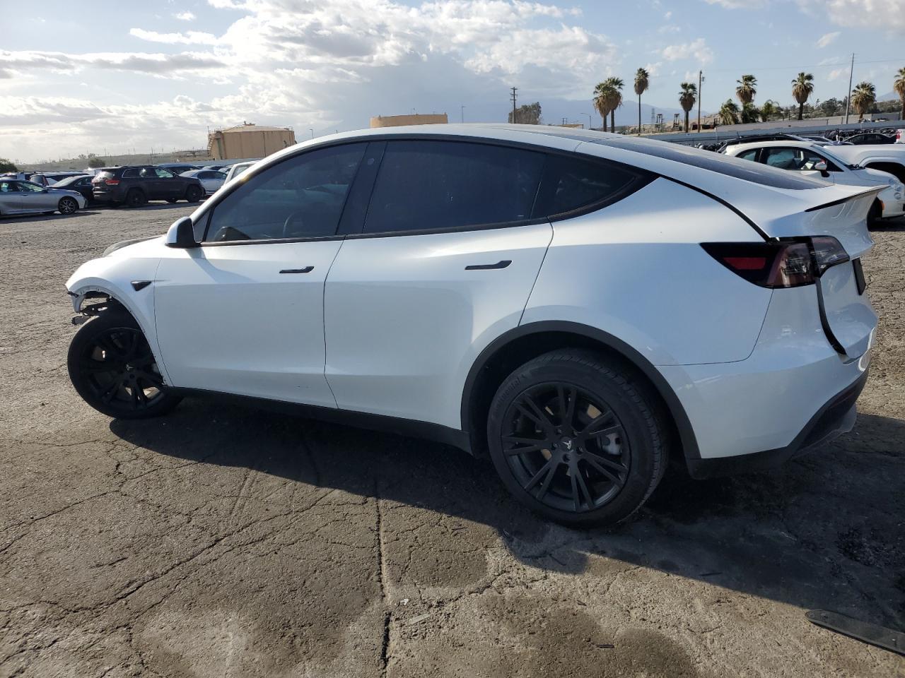 2023 Tesla Model Y - Фото 2