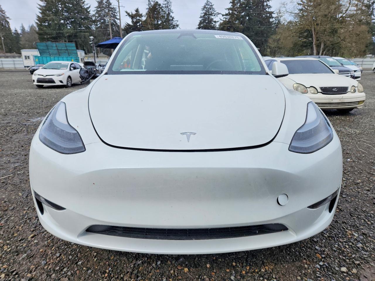 2024 Tesla Model Y - Image 5