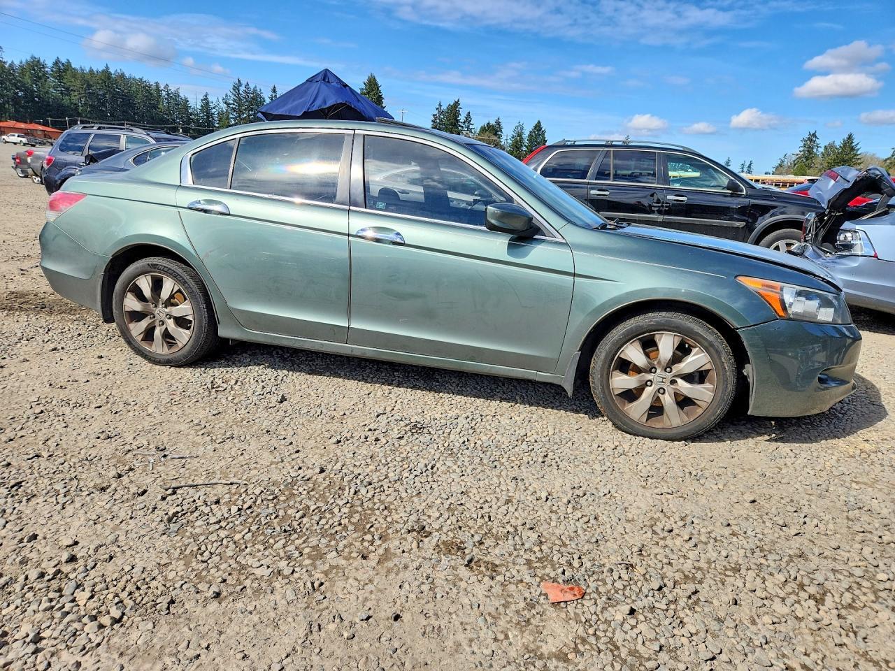 2008 Honda Accord Exl - Фото 4