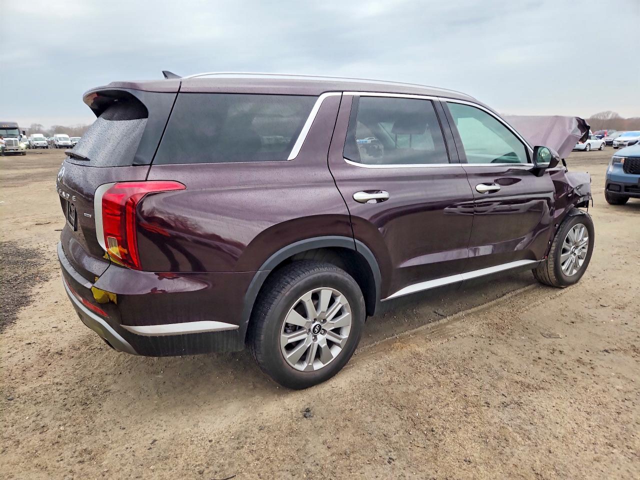 2024 Hyundai Palisade Sel - Фото 3