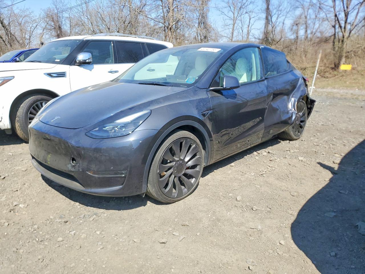 2025 Tesla Model Y