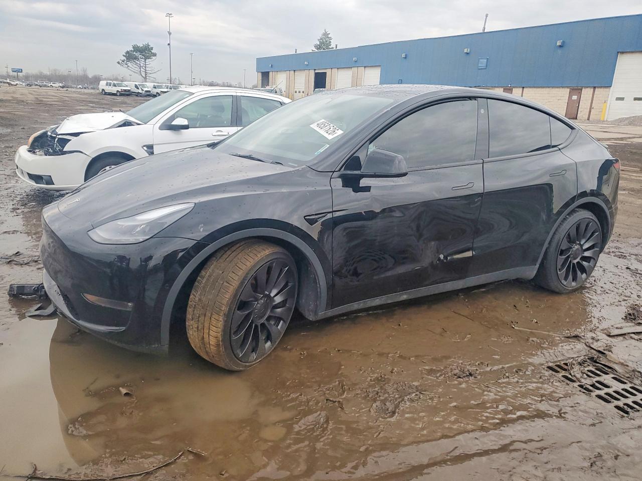 2022 Tesla Model Y