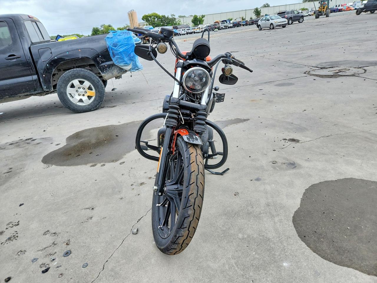 2020 Harley-Davidson Xl883 N - Фото 2