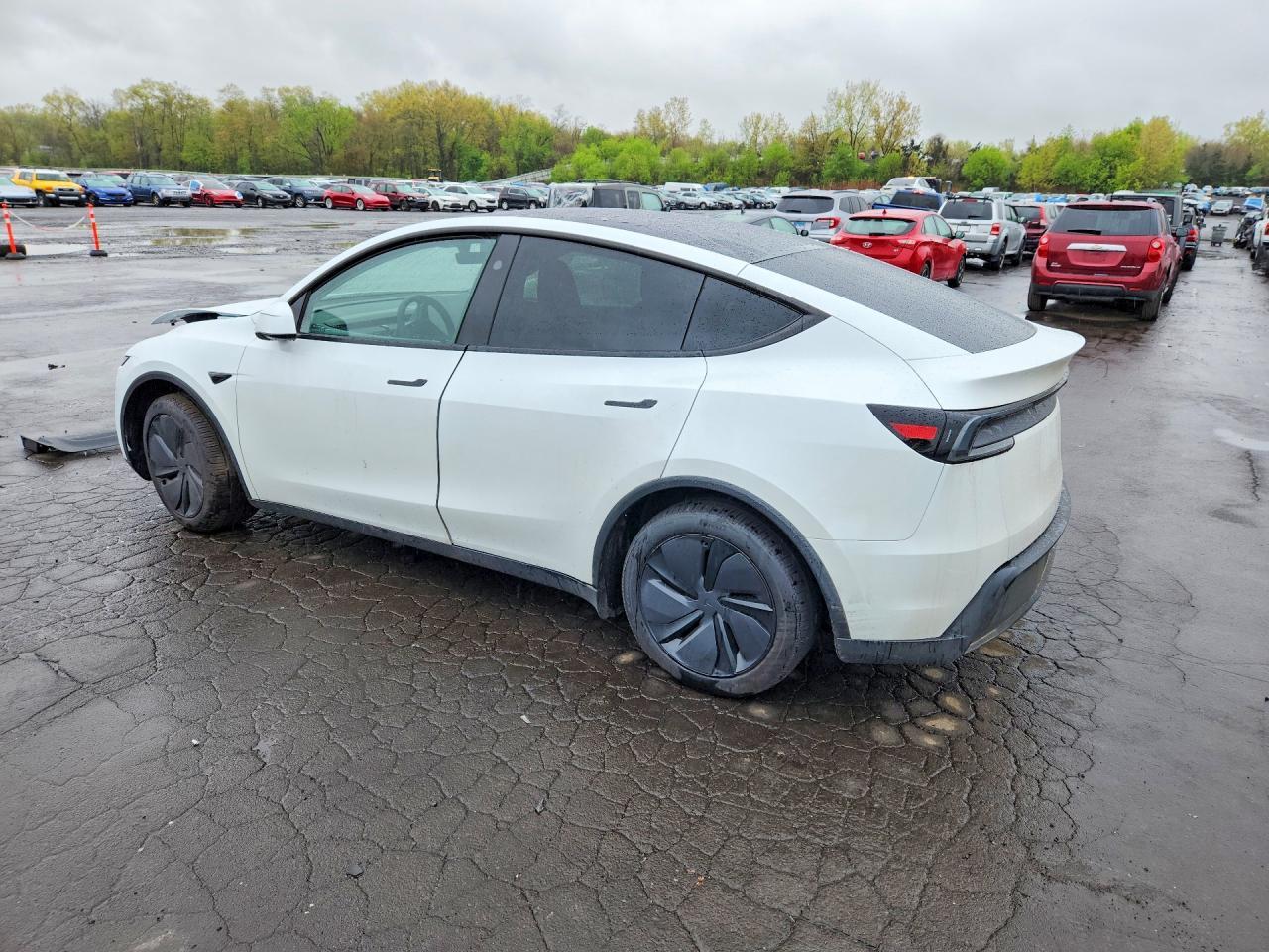 2026 Tesla Model Y - Image 2