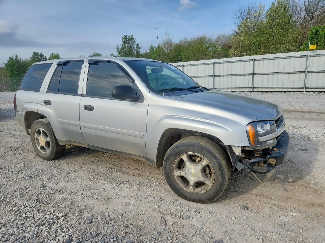 2008 Chevrolet Trailblazer Ls - Фото 4