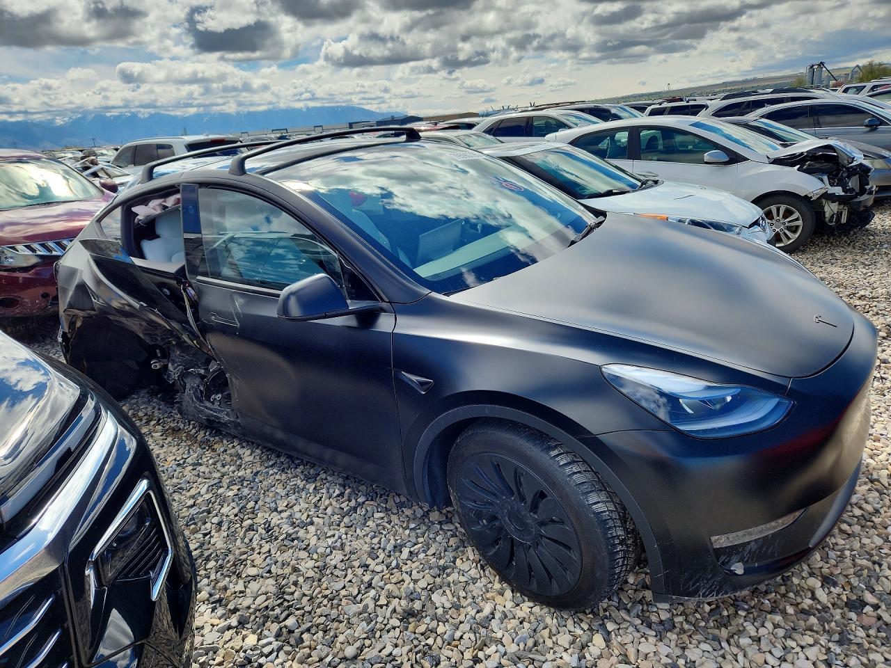 2023 Tesla Model Y - Фото 4