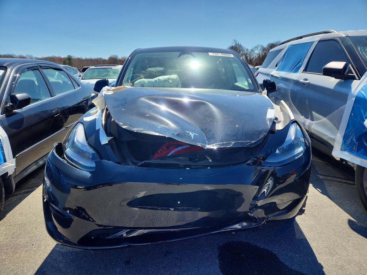 2025 Tesla Model Y - Фото 5