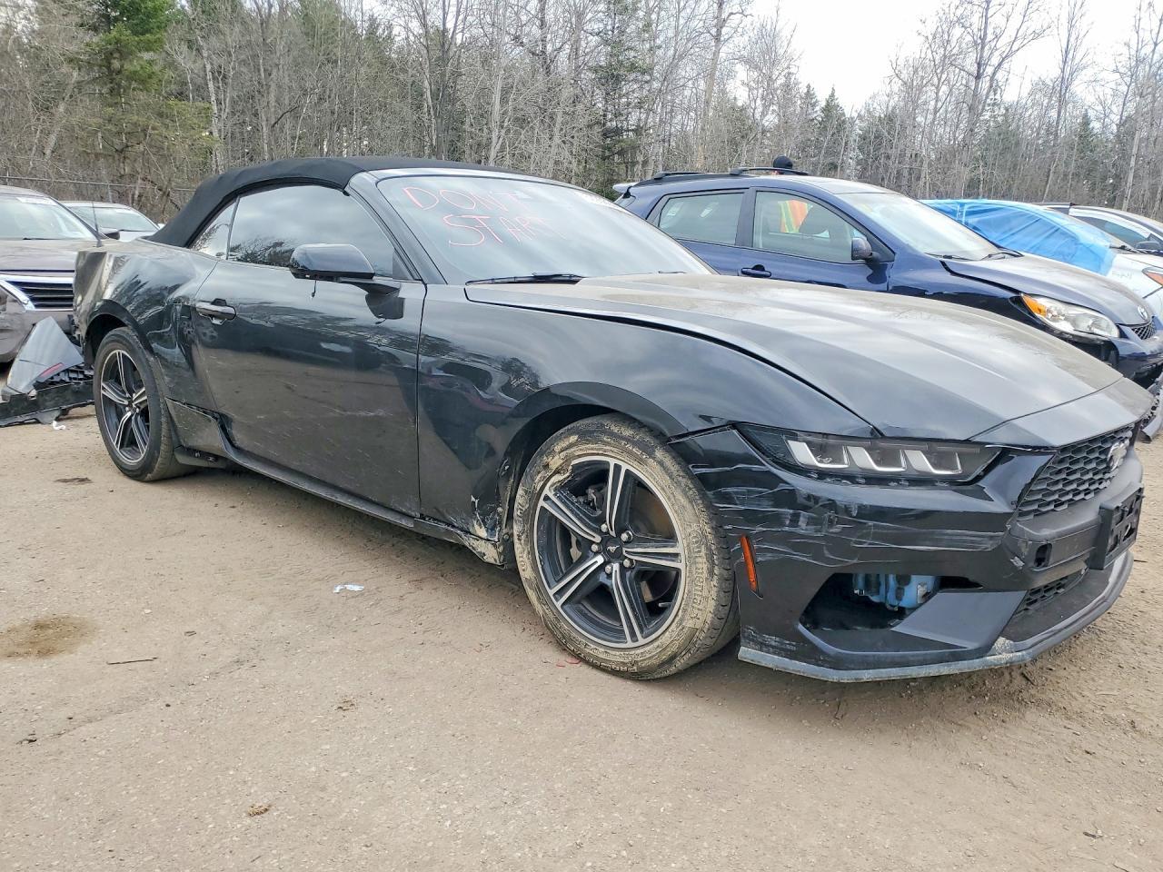 2024 Ford Mustang - Фото 4