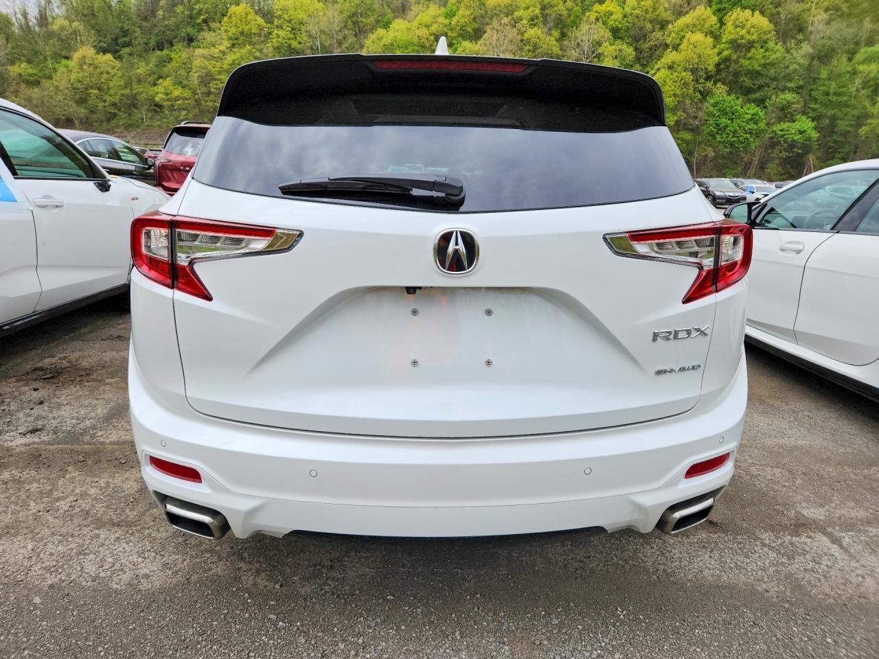 2025 Acura Rdx Advance - Image 6