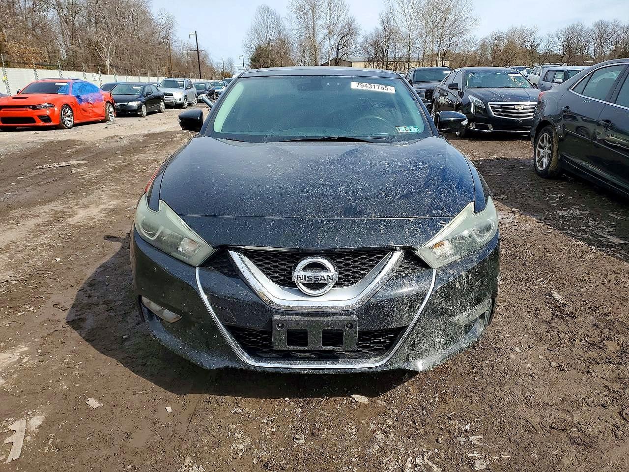 2017 Nissan Maxima Platinum - Фото 5