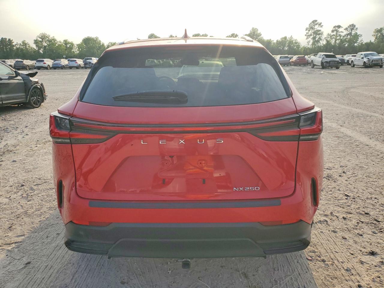 2024 Lexus Nx 250 Base - Image 6