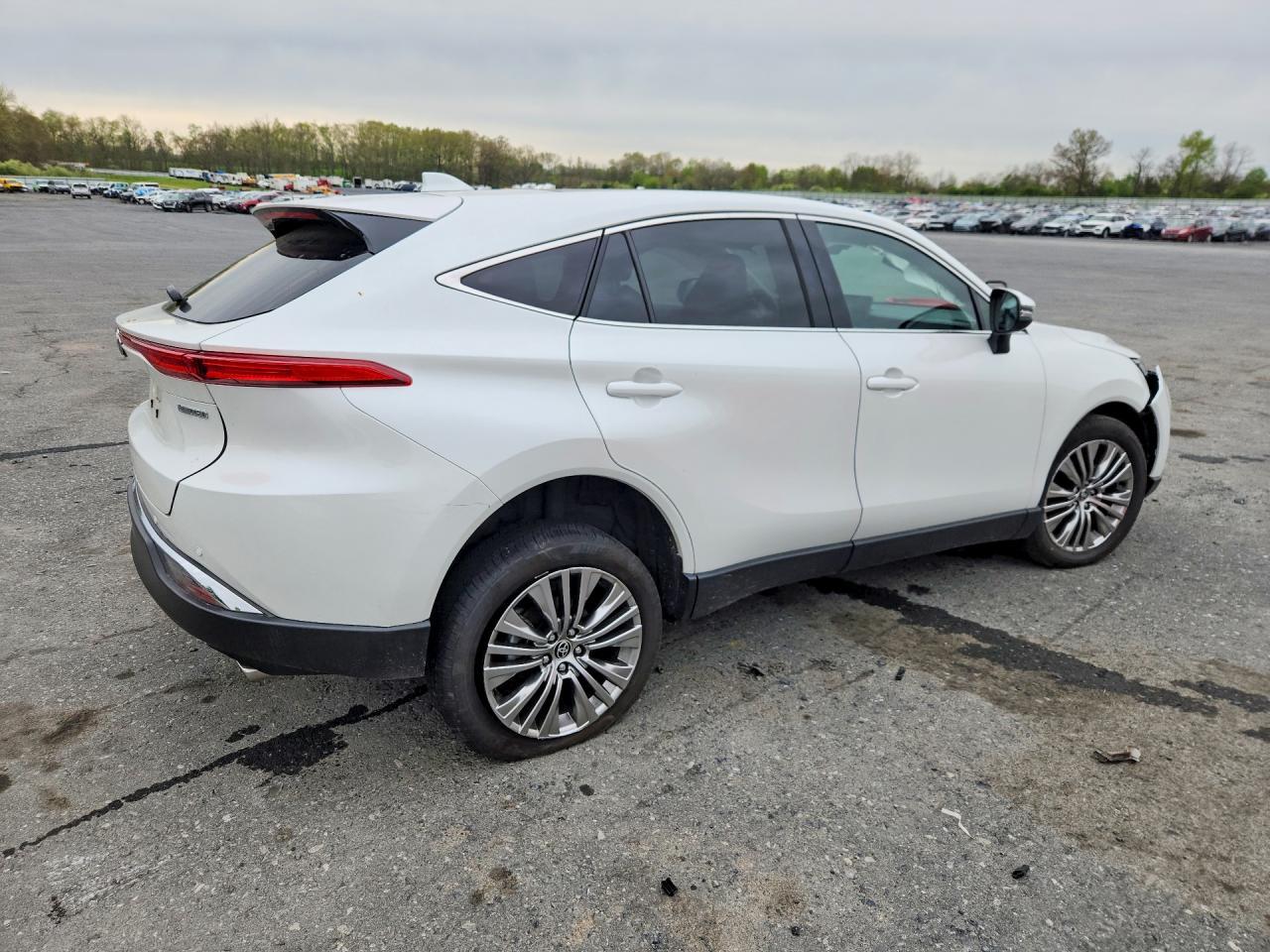 2024 Toyota Venza Limited - Фото 3