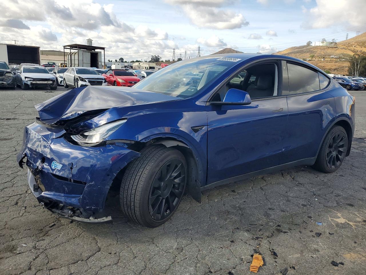 2020 Tesla Model Y