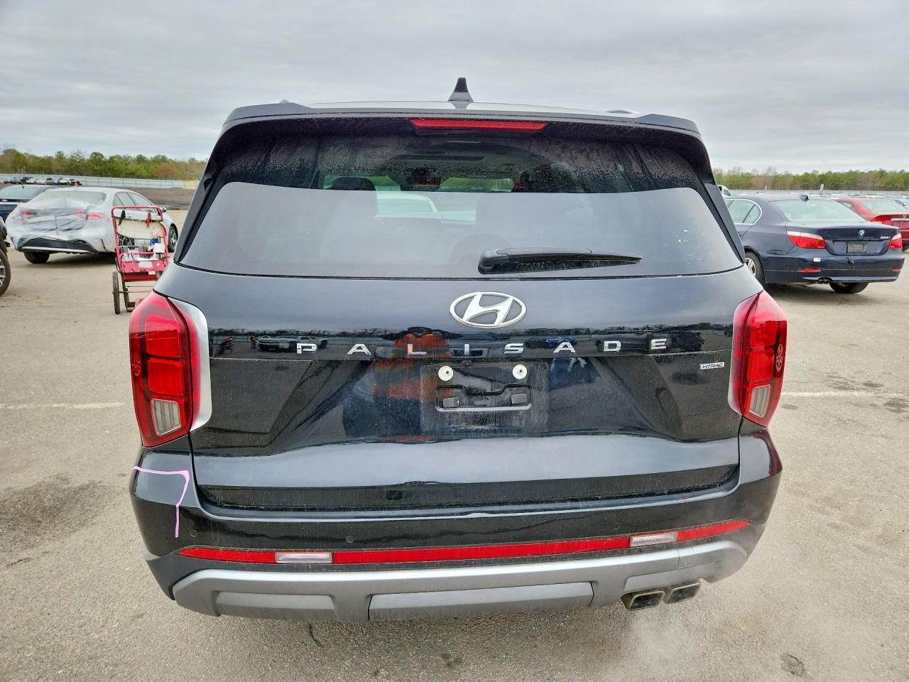 2023 Hyundai Palisade Limited - Фото 6