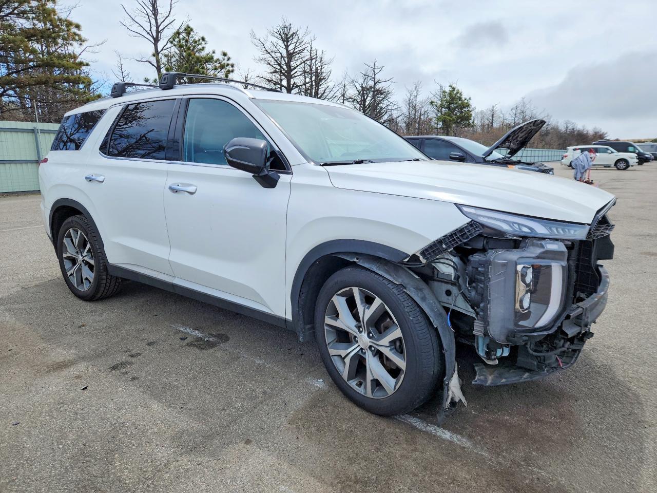 2021 Hyundai Palisade Sel - Image 4