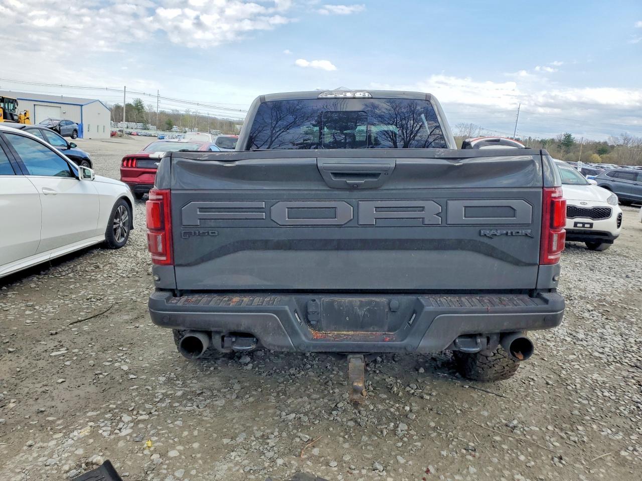 2020 Ford F150 Raptor - Фото 6