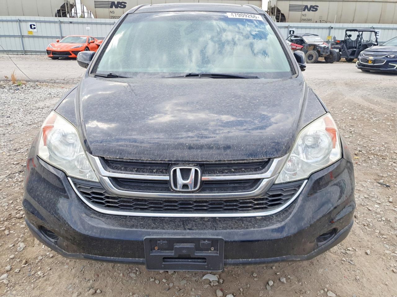 2010 Honda Cr-V Exl - Image 5