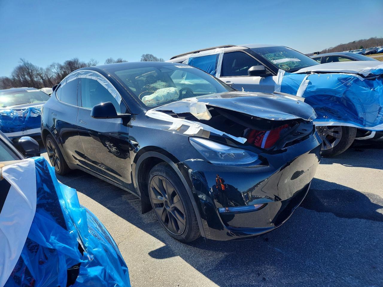 2025 Tesla Model Y - Фото 4