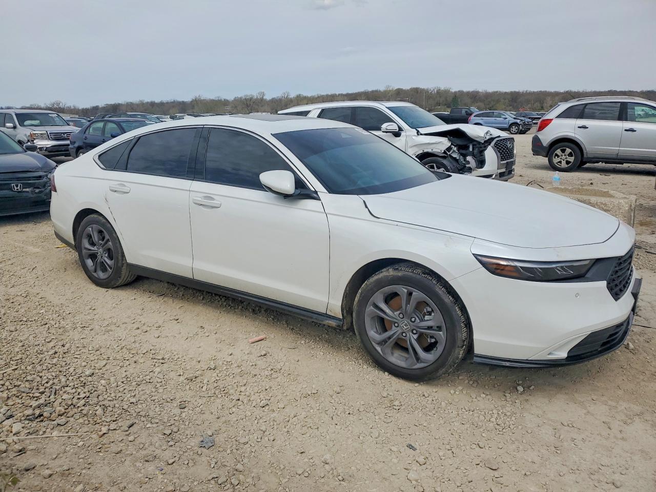 2025 Honda Accord Hybrid Exl - Фото 4