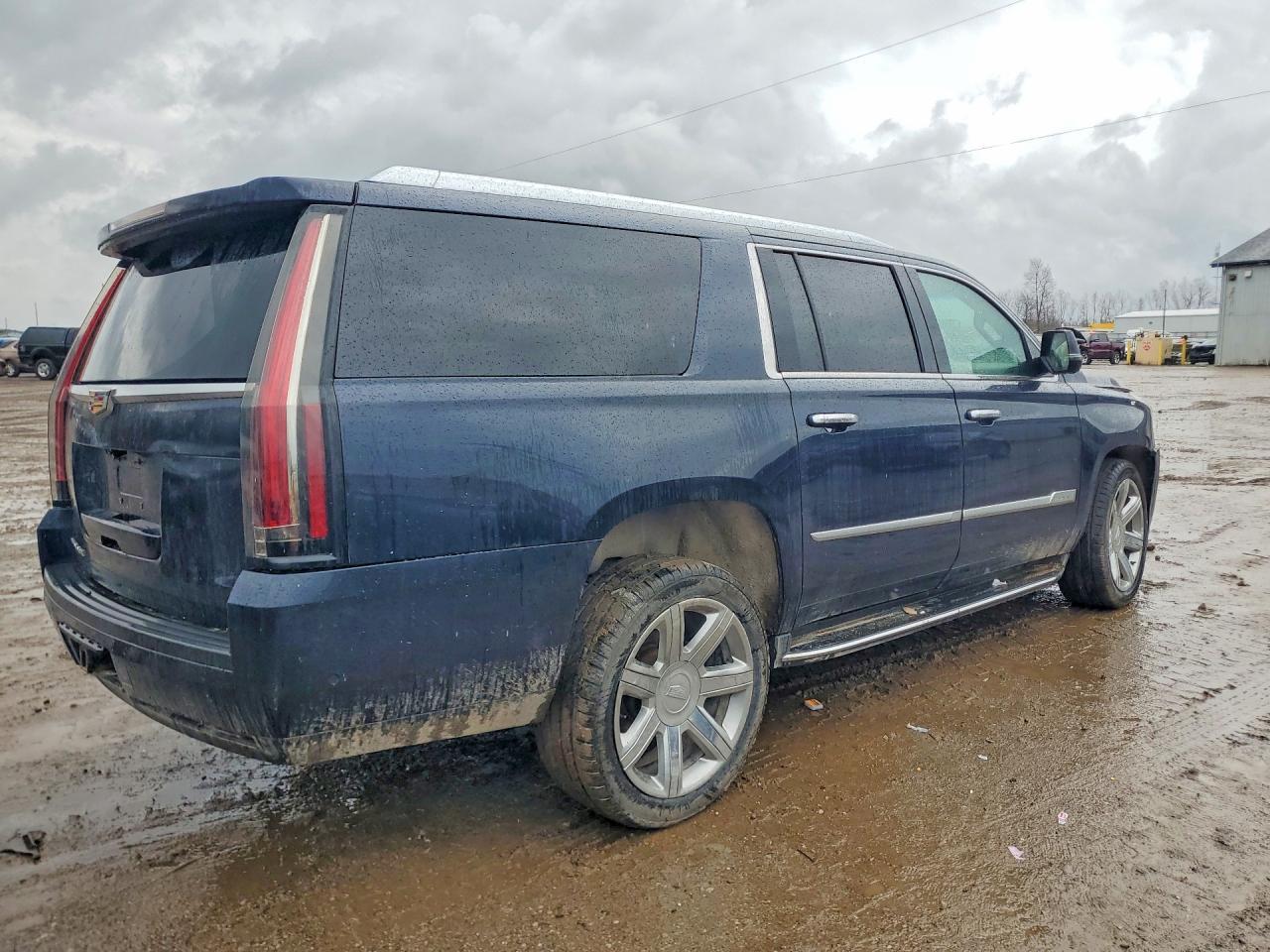 2019 Cadillac Escalade Esv Luxury - Фото 3