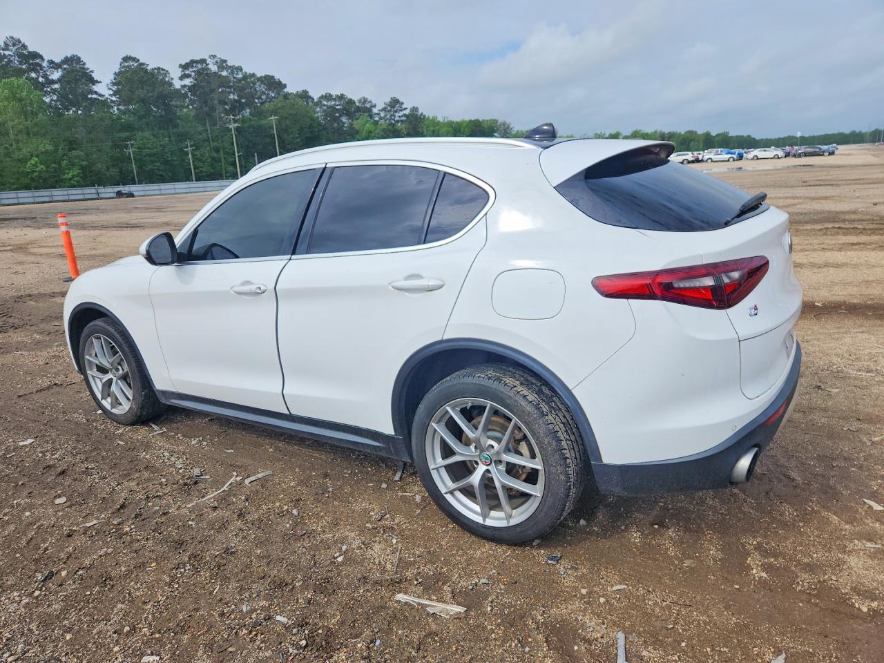 2018 Alfa Romeo Stelvio - Фото 2