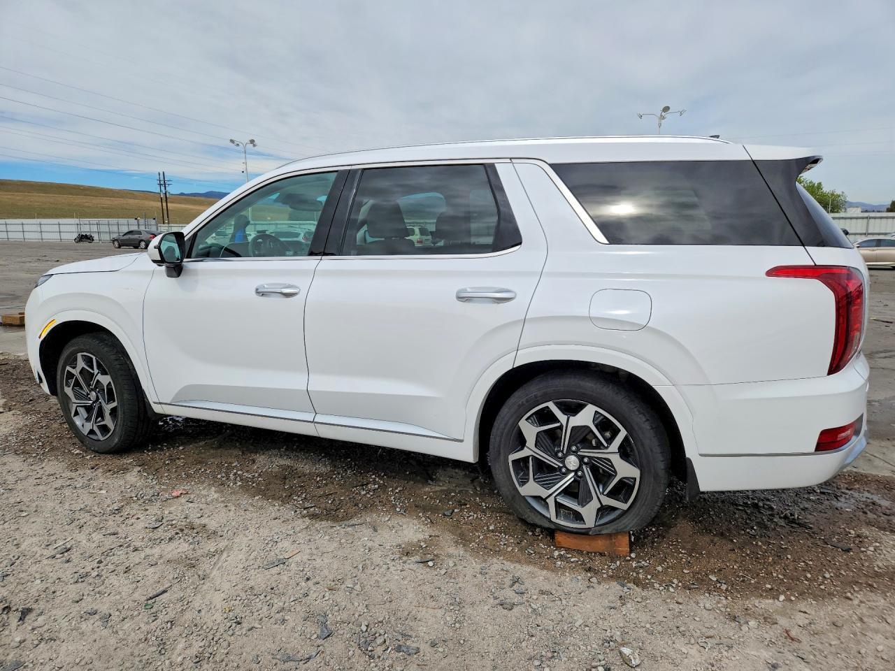 2021 Hyundai Palisade Calligraphy - Фото 2