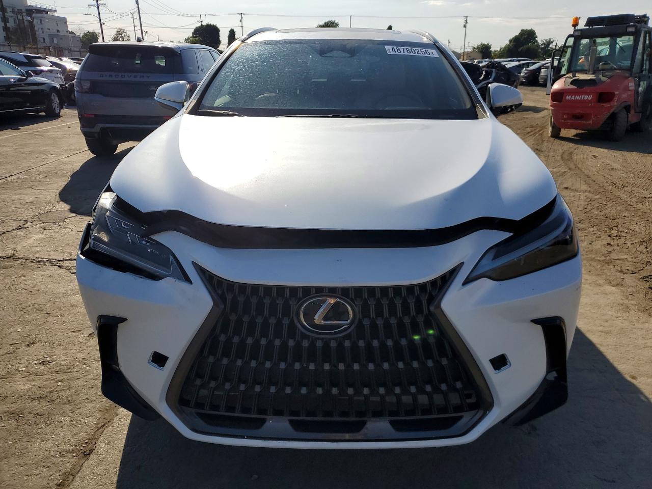 2024 Lexus Nx 250 Base - Фото 5