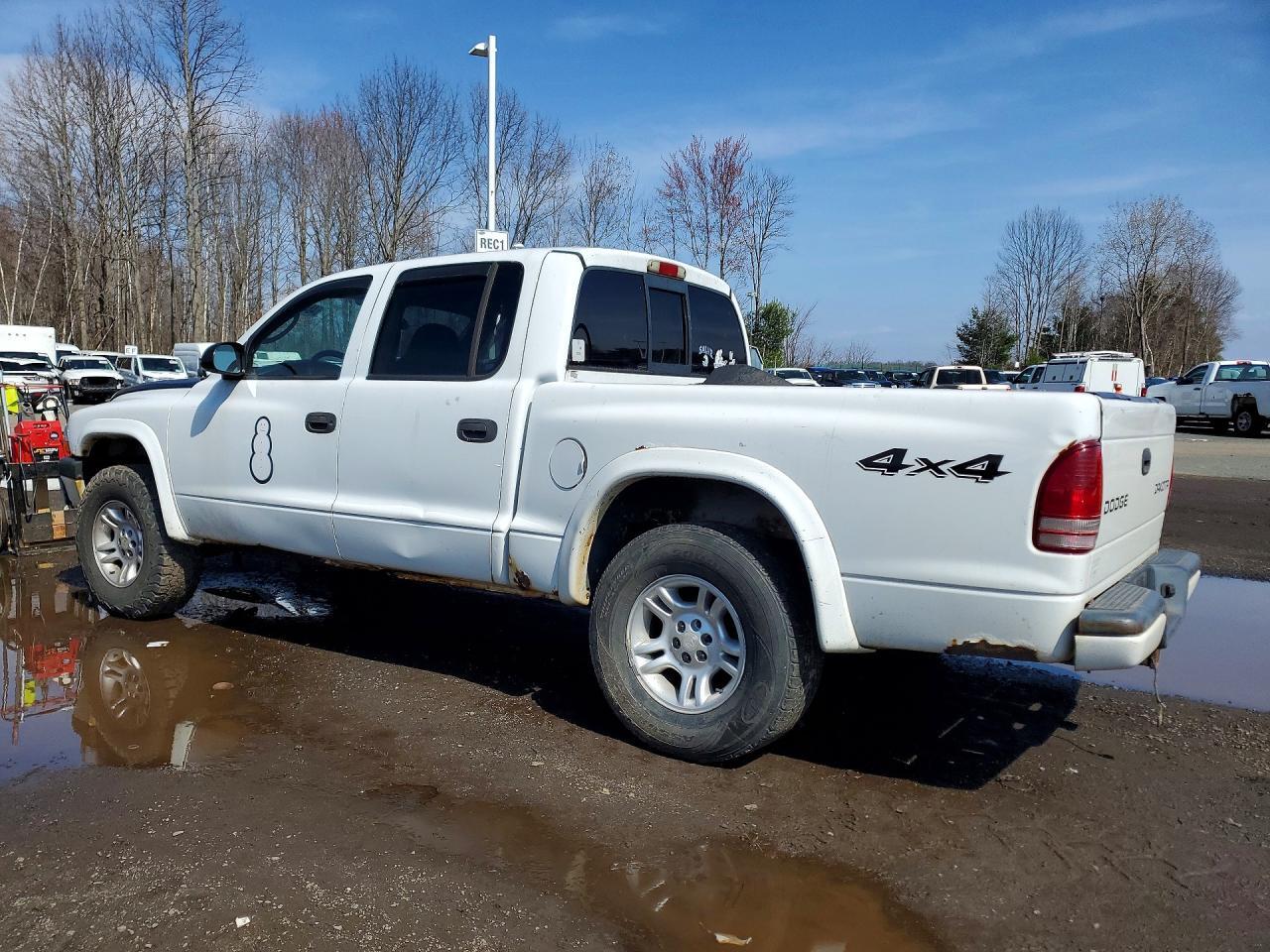 2004 Dodge Dakota Quad Sport - Image 2