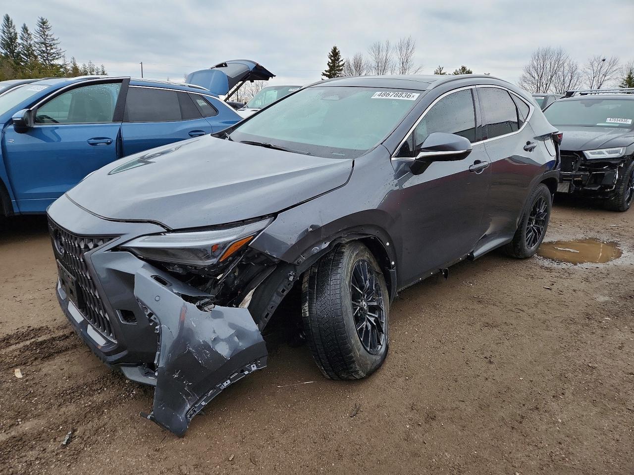 2025 Lexus Nx 350H Premium