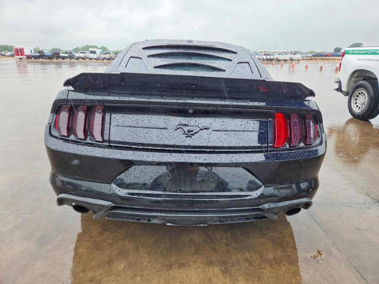 2019 Ford Mustang - Фото 6