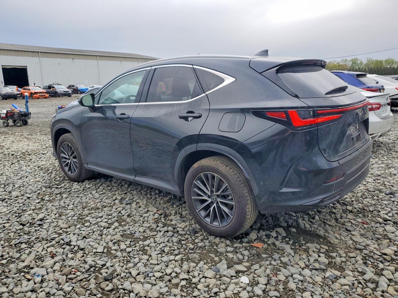 2025 Lexus Nx 350H Premium - Фото 2