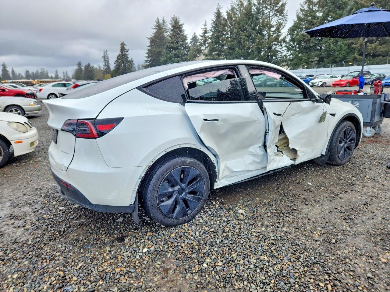 2024 Tesla Model Y - Image 3