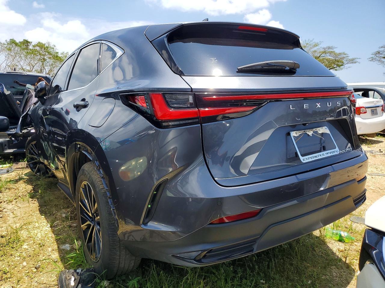 2024 Lexus Nx 250 Premium - Image 2