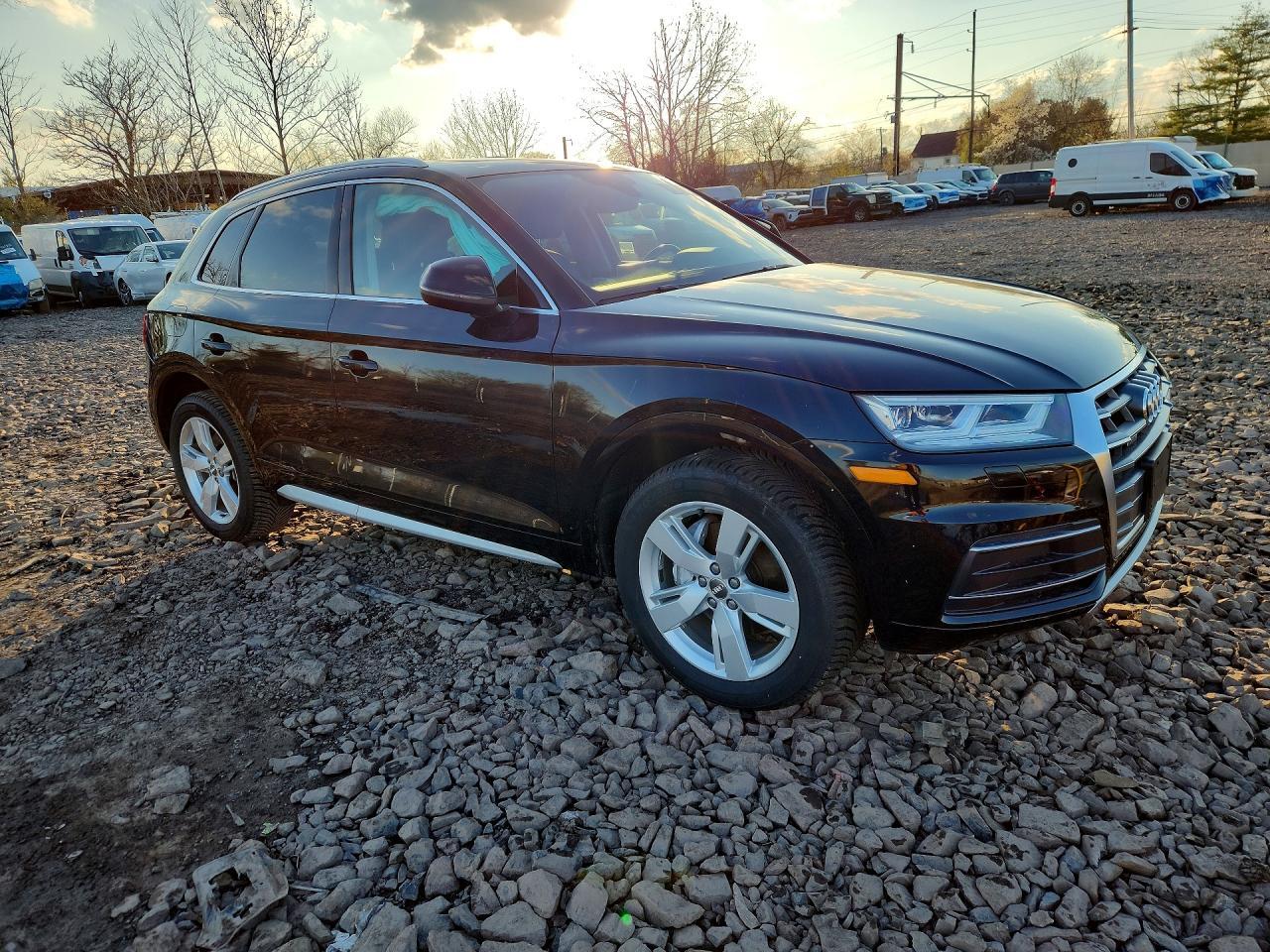 2019 Audi Q5 Premium Plus - Фото 4