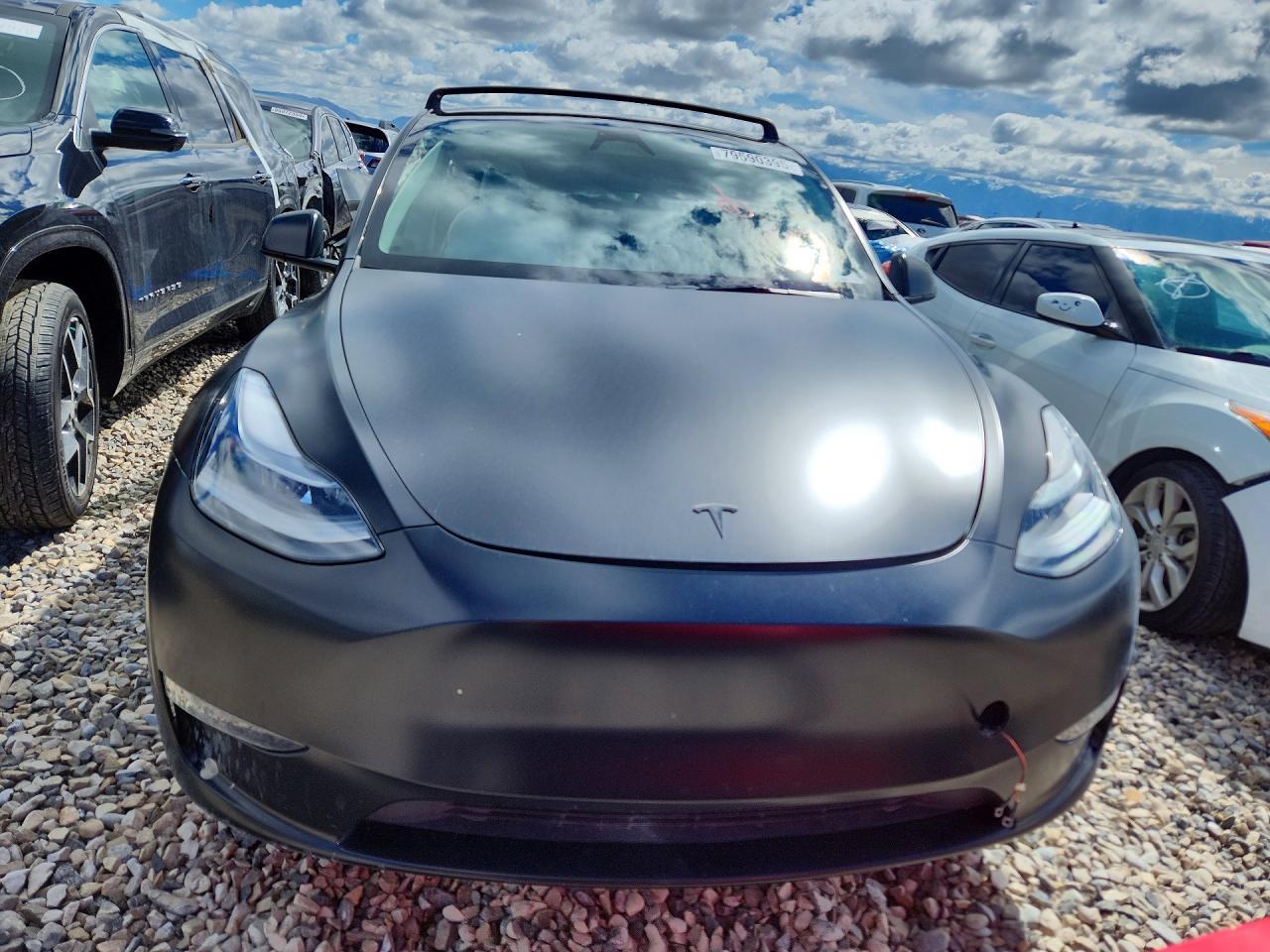 2023 Tesla Model Y - Фото 5