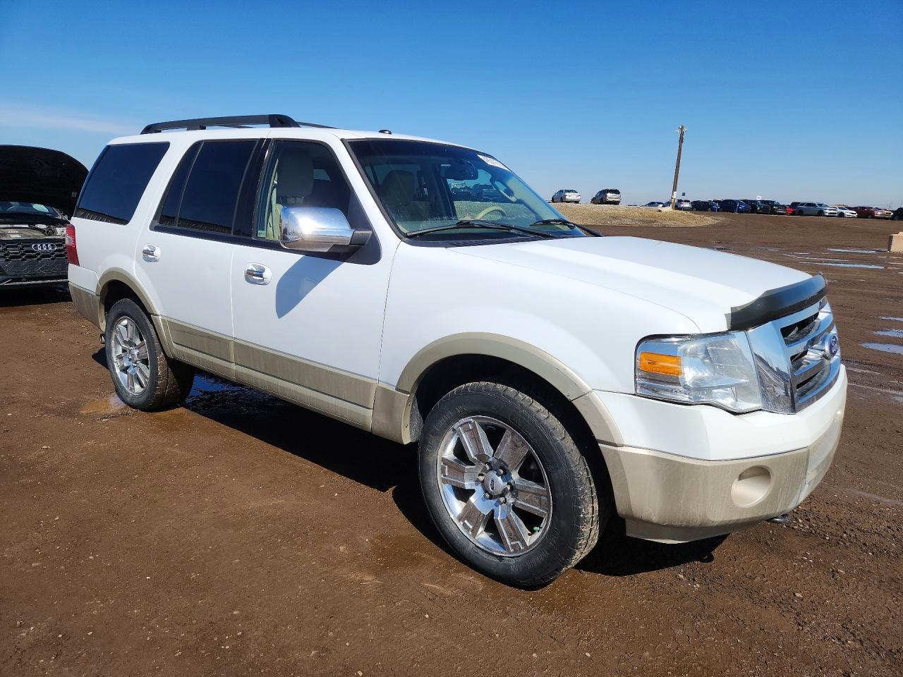 2010 Ford Expedition Eddie Bauer - Фото 4