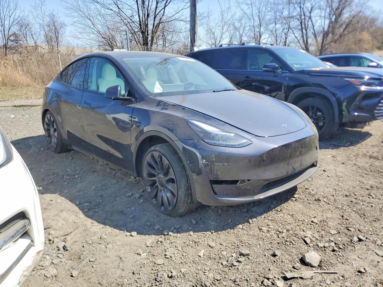 2025 Tesla Model Y - Image 4