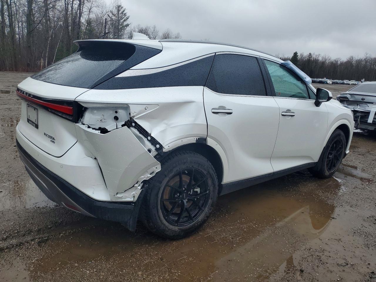 2025 Lexus Rx 350H Base - Фото 3