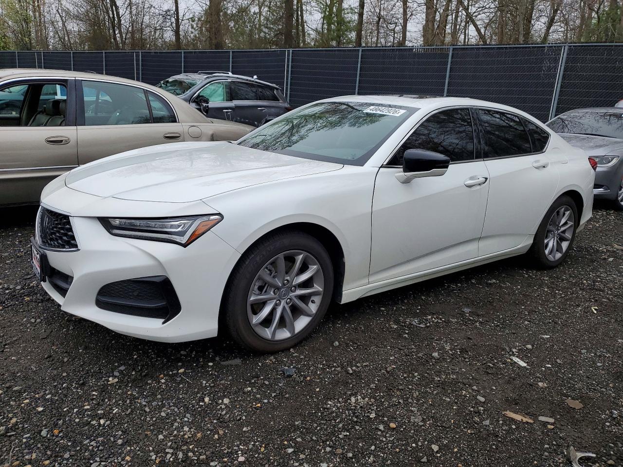 2023 Acura Tlx