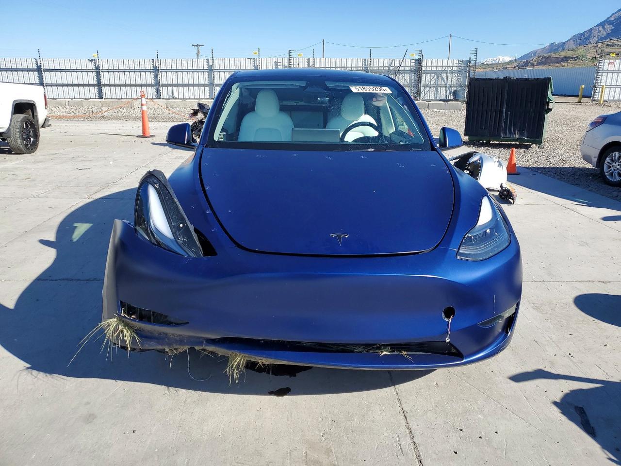2024 Tesla Y - Фото 5