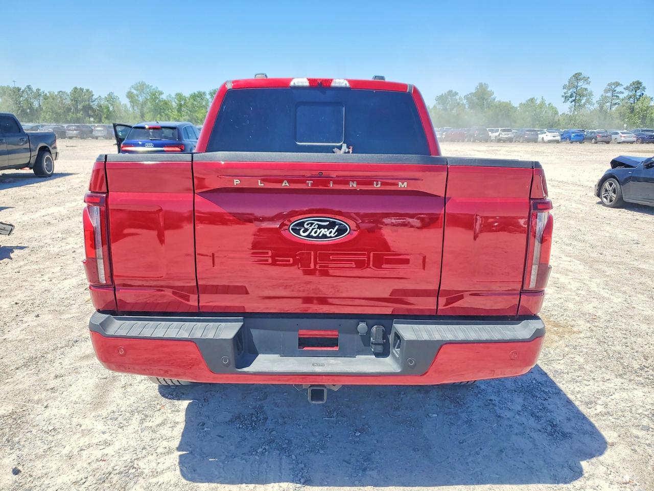 2025 Ford F150 Platinum - Фото 6