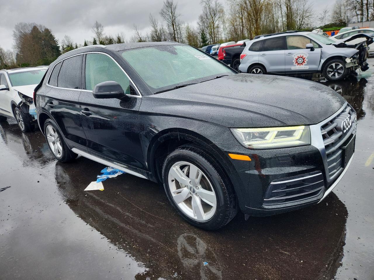 2019 Audi Q5 Premium Plus - Фото 4