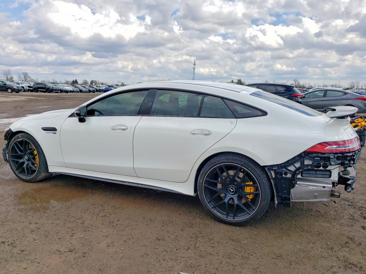 2019 Mercedes-Benz Amg Gt 63 S - Фото 2
